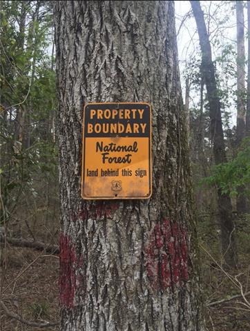 0 Dug Leckie Cutoff Road Pollock, LA 71467 - Photo 3 of 22