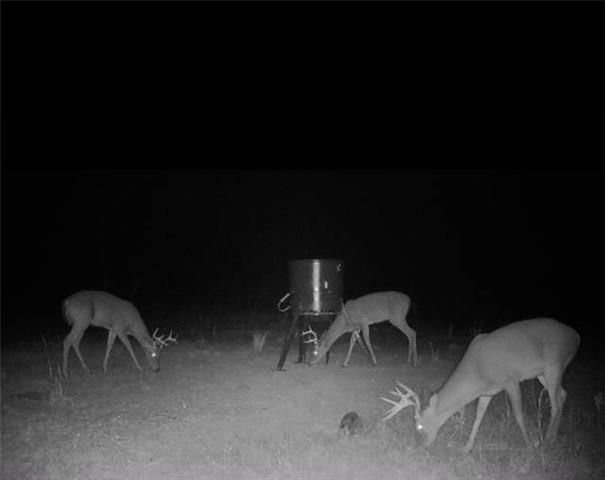 0 Dug Leckie Cutoff Road Pollock, LA 71467 - Photo 5 of 22