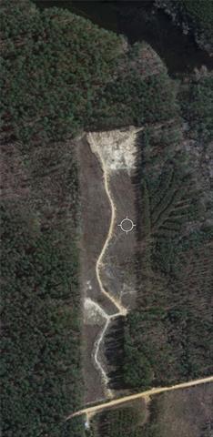 0 Dug Leckie Cutoff Road Pollock, LA 71467 - Photo 8 of 22