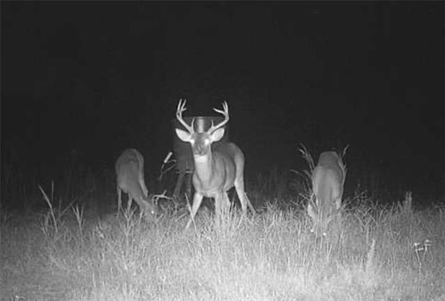 0 Dug Leckie Cutoff Road Pollock, LA 71467 - Photo 9 of 22