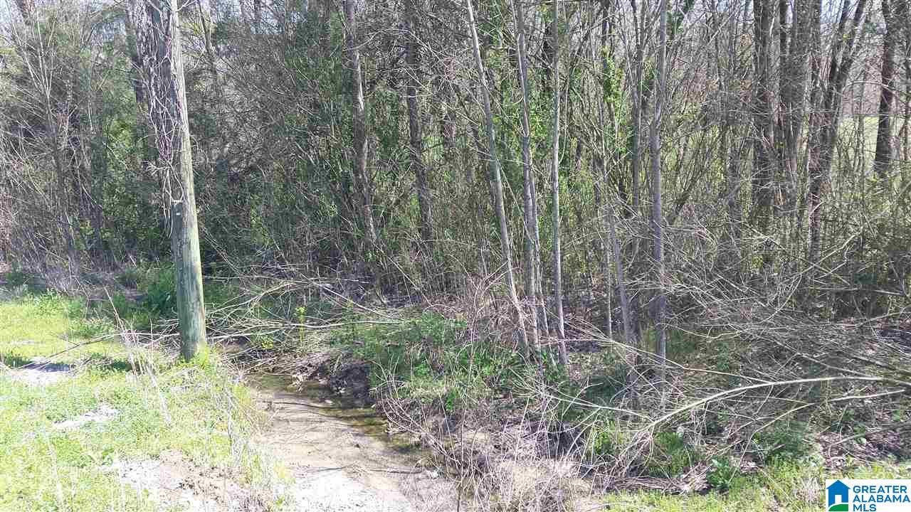 Double Bridge Road, Unit 16 Steele, AL 35987 - Photo 9 of 44