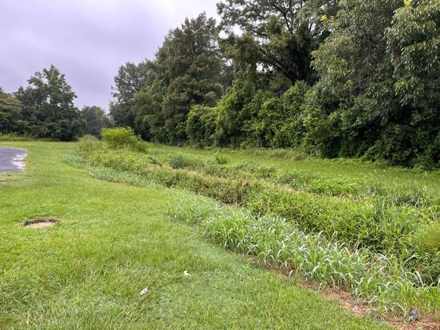 Lot # 2nd Street Pitts, GA 31072 - Photo 6 of 7
