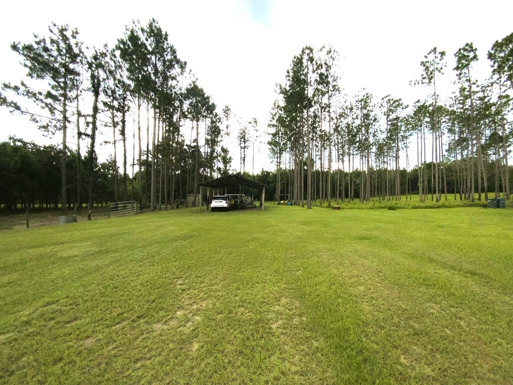 158 Empress Road Quitman, GA 31643 - Photo 45 of 68 Gallery Image 45