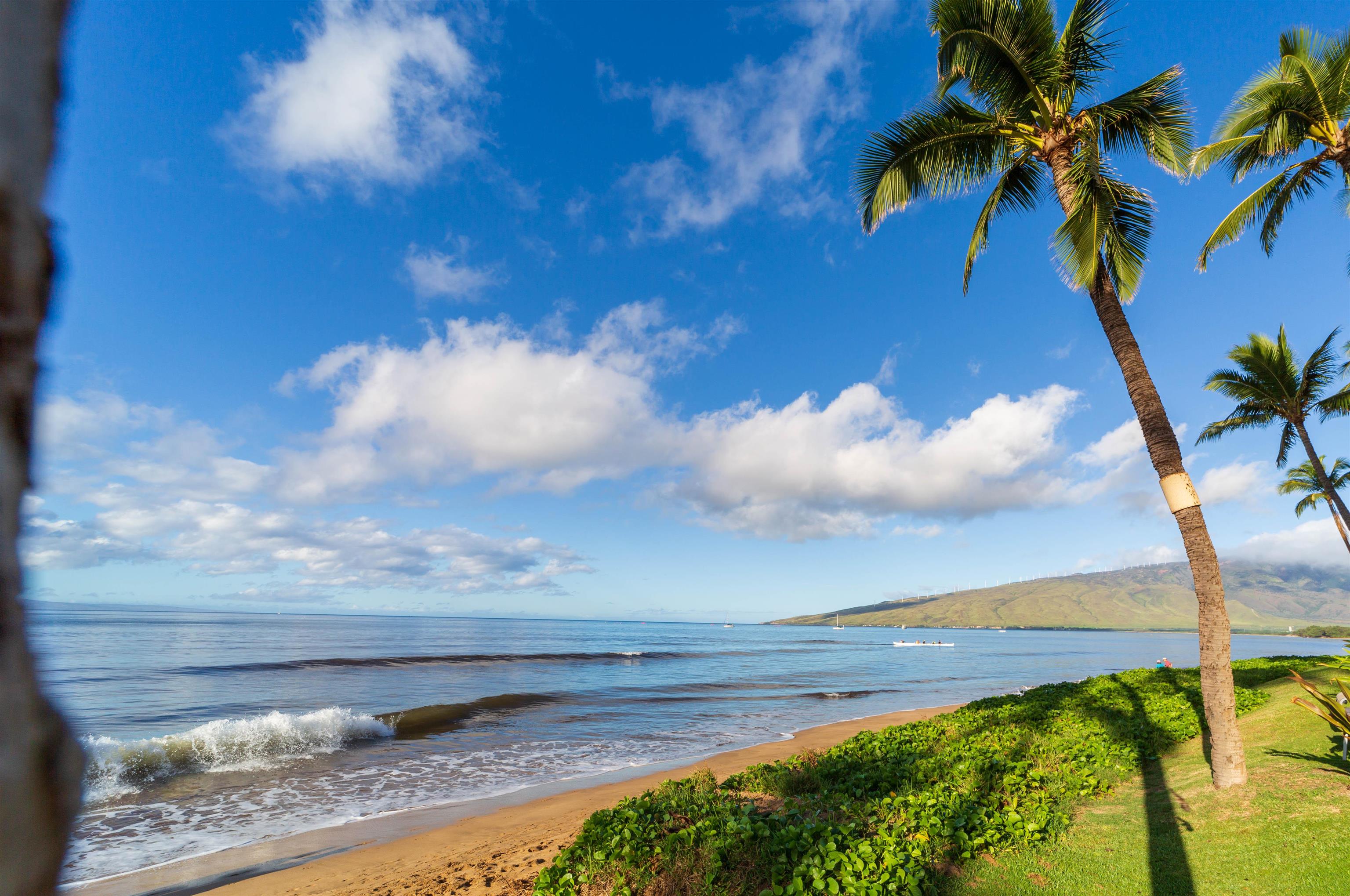 145 North Kihei Road, Unit 502 Kihei, HI 96753 - Photo 29 of 37