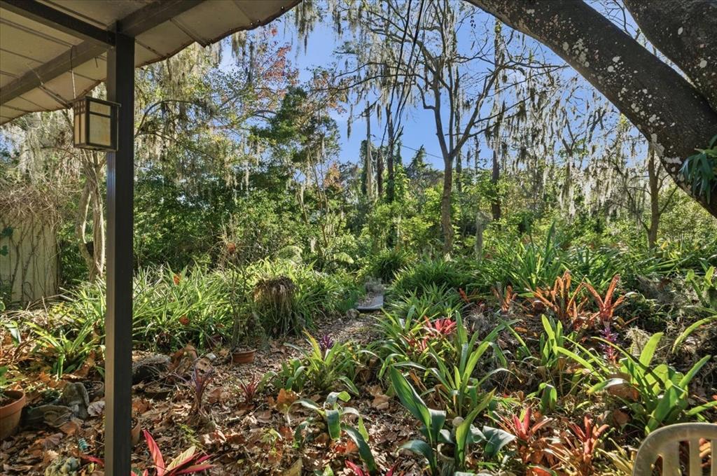 16921 Crawley Road Odessa, FL 33556 - Photo 8 of 53