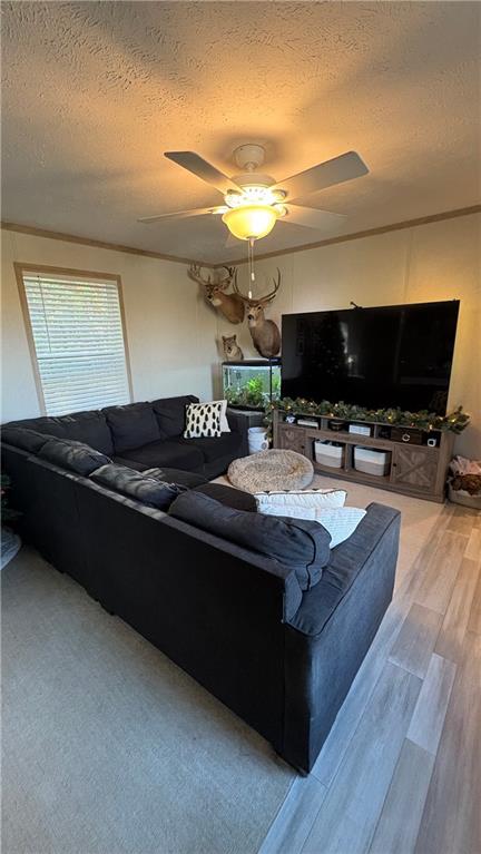 221 Reston Road Imperial, PA 15126 - Photo 6 of 20