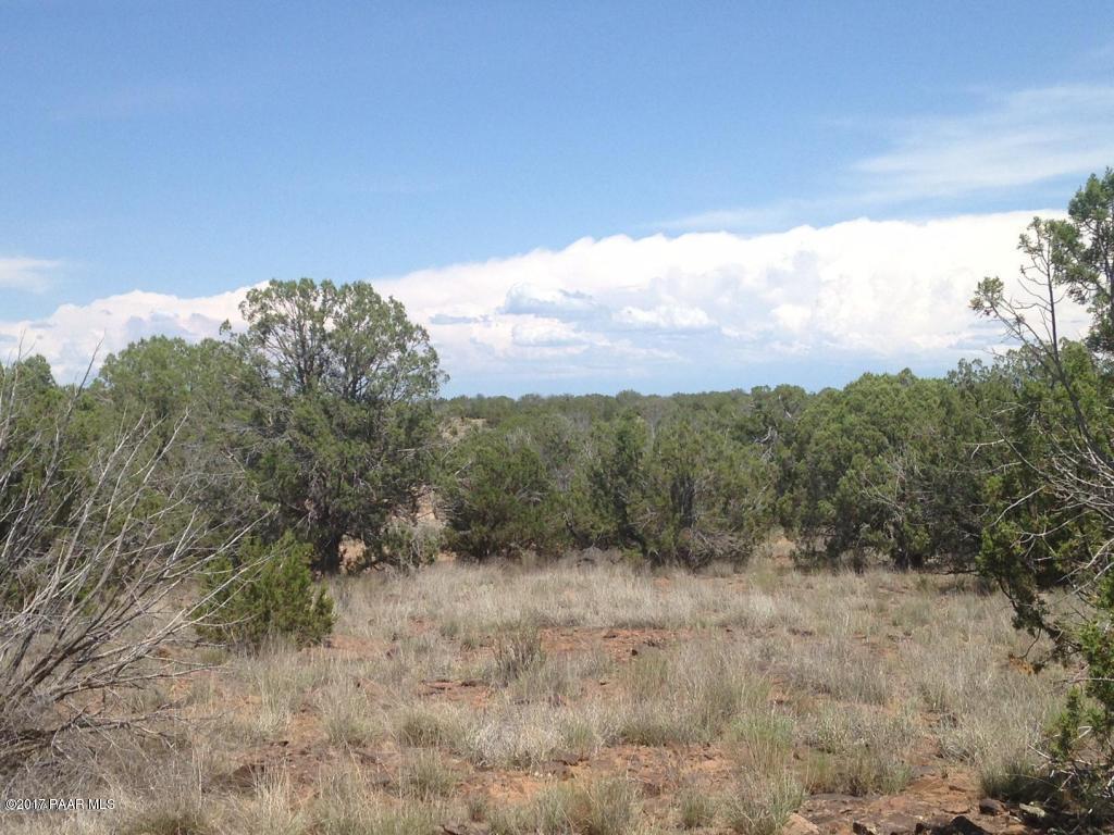 15 Sweet Valley Road Paulden, AZ 86334 - Photo 1 of 12 Land