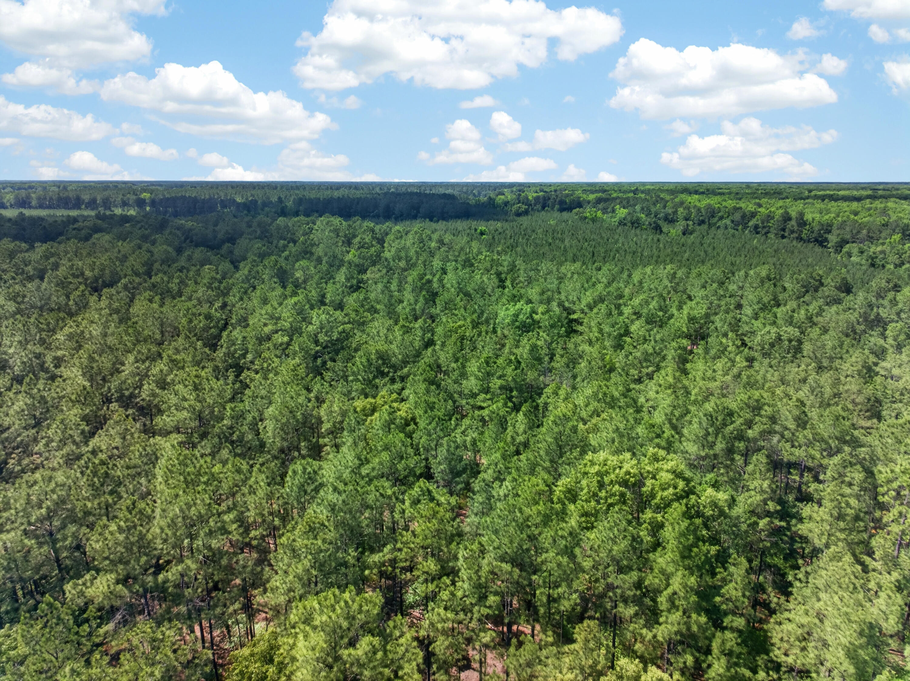 5120 North Brewington Road, Unit 10 Alcolu, SC 29001 - Photo 29 of 40 DJI_20260521143457_0111_D