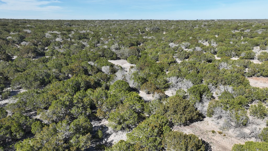 20120 Other Rocksprings, TX 78880 - Photo 6 of 22 a view of a city