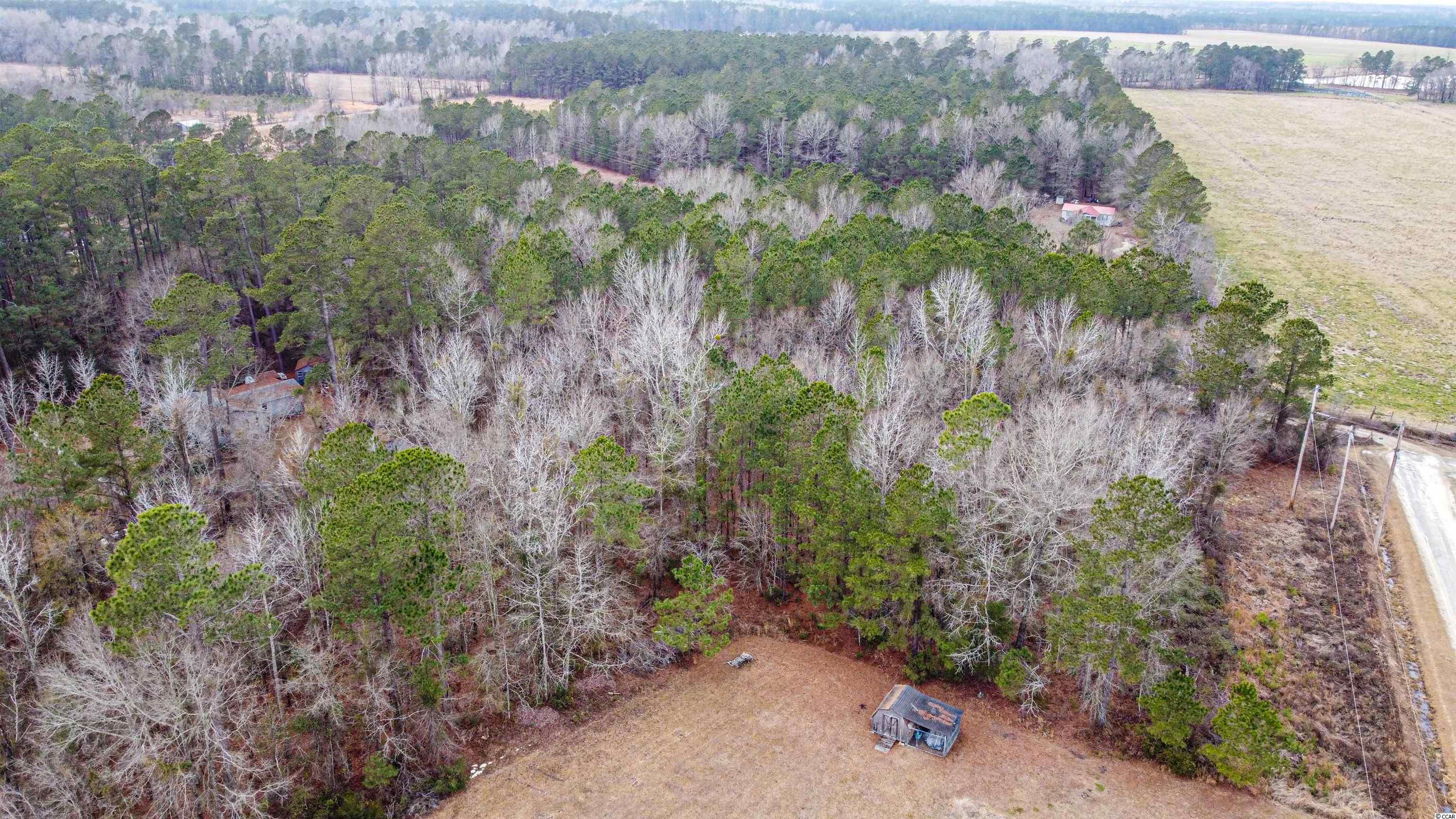 317 Heatherwood Road Marion, SC 29571 - Photo 36 of 36 Gallery Image 36
