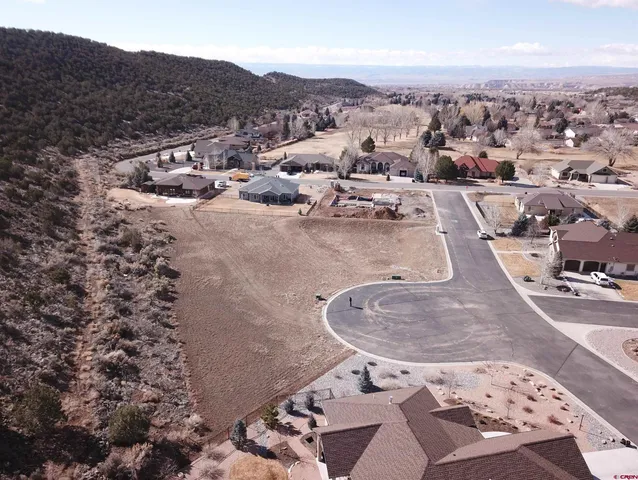 a view of a dry yard with mountain
