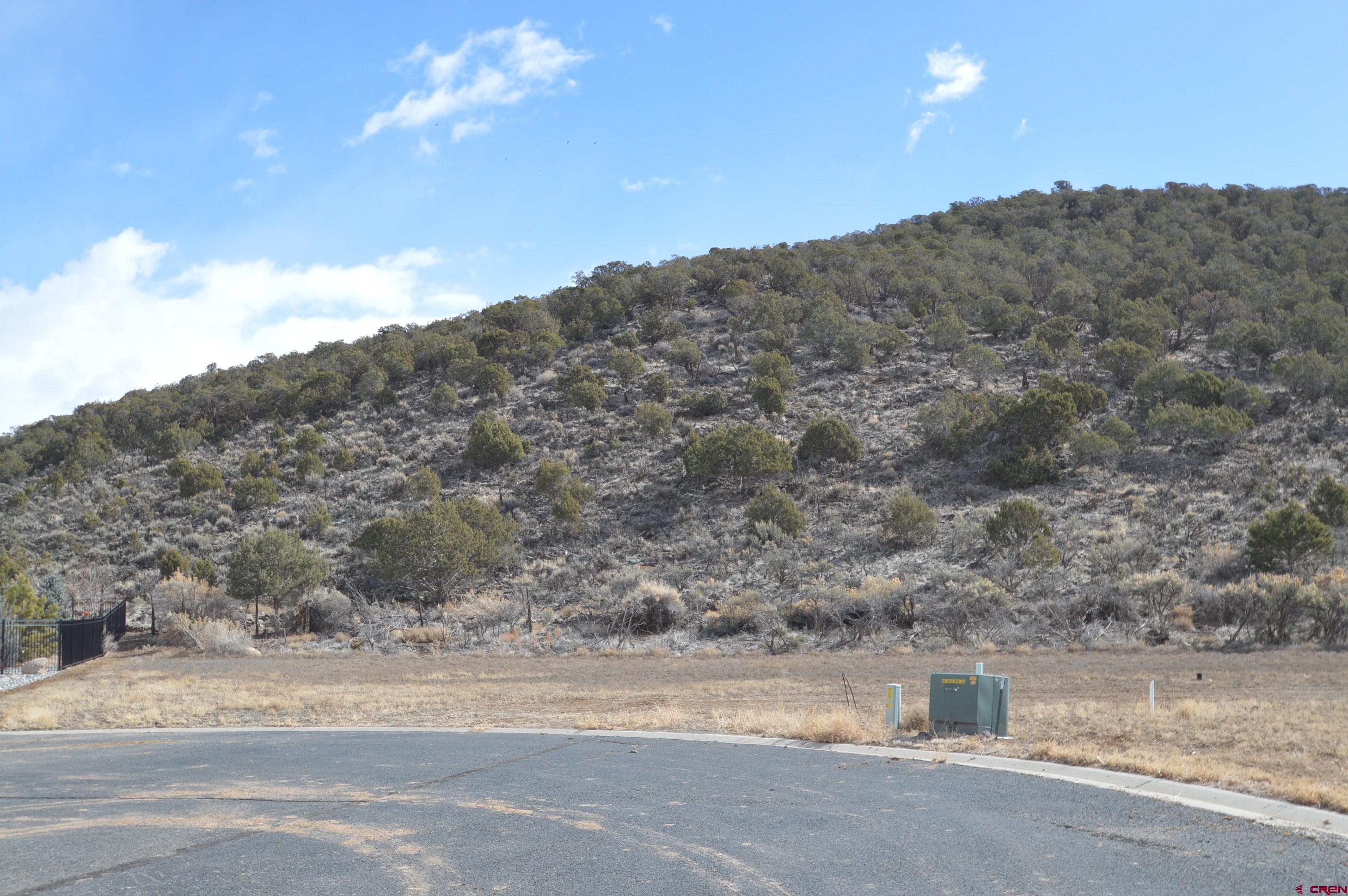 855 Southeast Pine Street Cedaredge, CO 81413 - Photo 7 of 8 a view of a dry yard with mountain