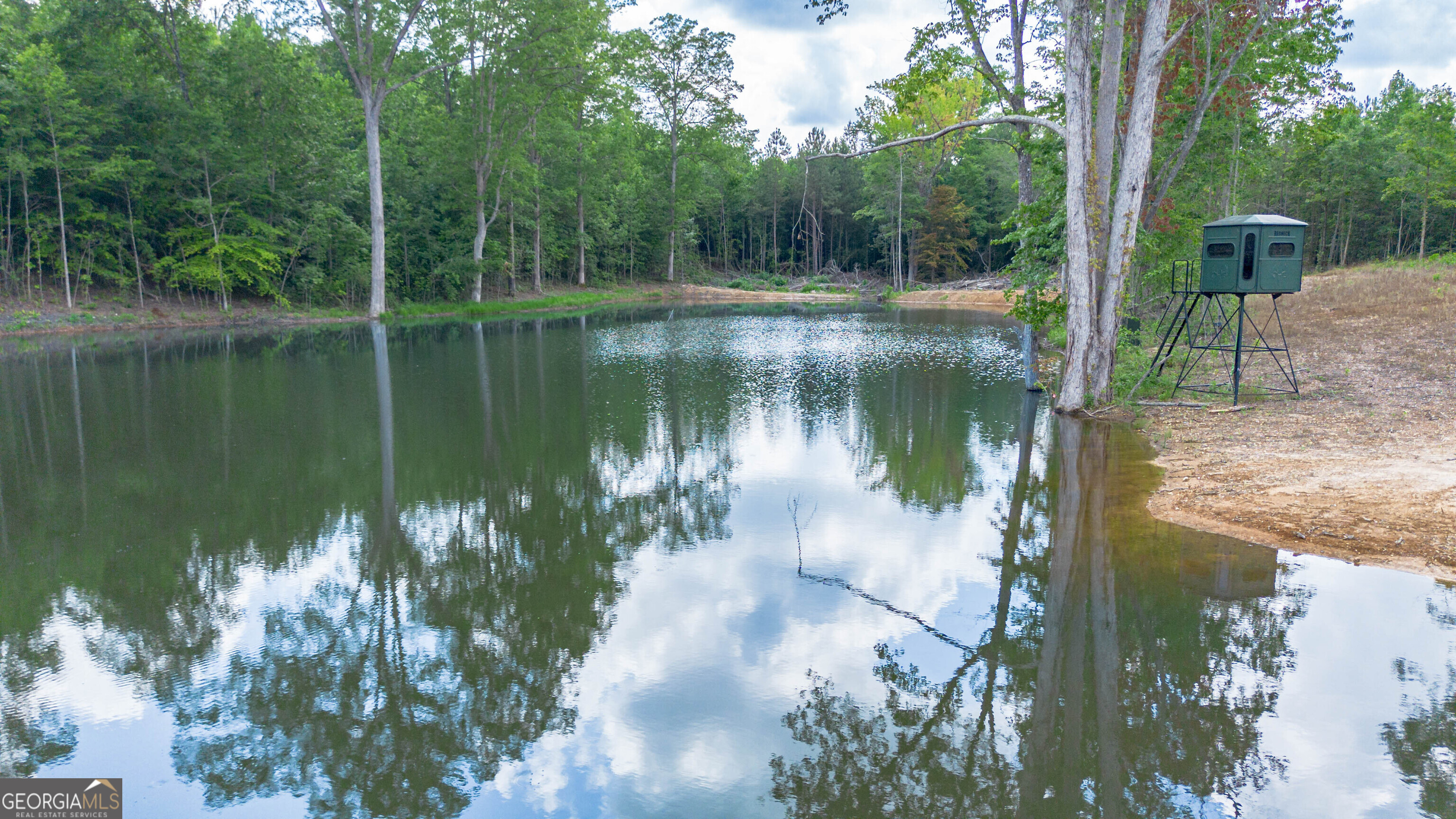 0 Vineyard Fruithurst, AL 36262 - Photo 6 of 21
