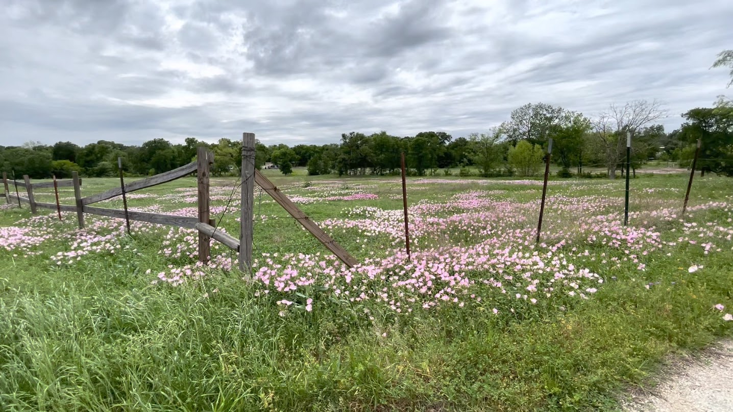 5001 Blue Bluff Road Austin, TX 78724 - Photo 7 of 7 View of yard featuring a view of countryside