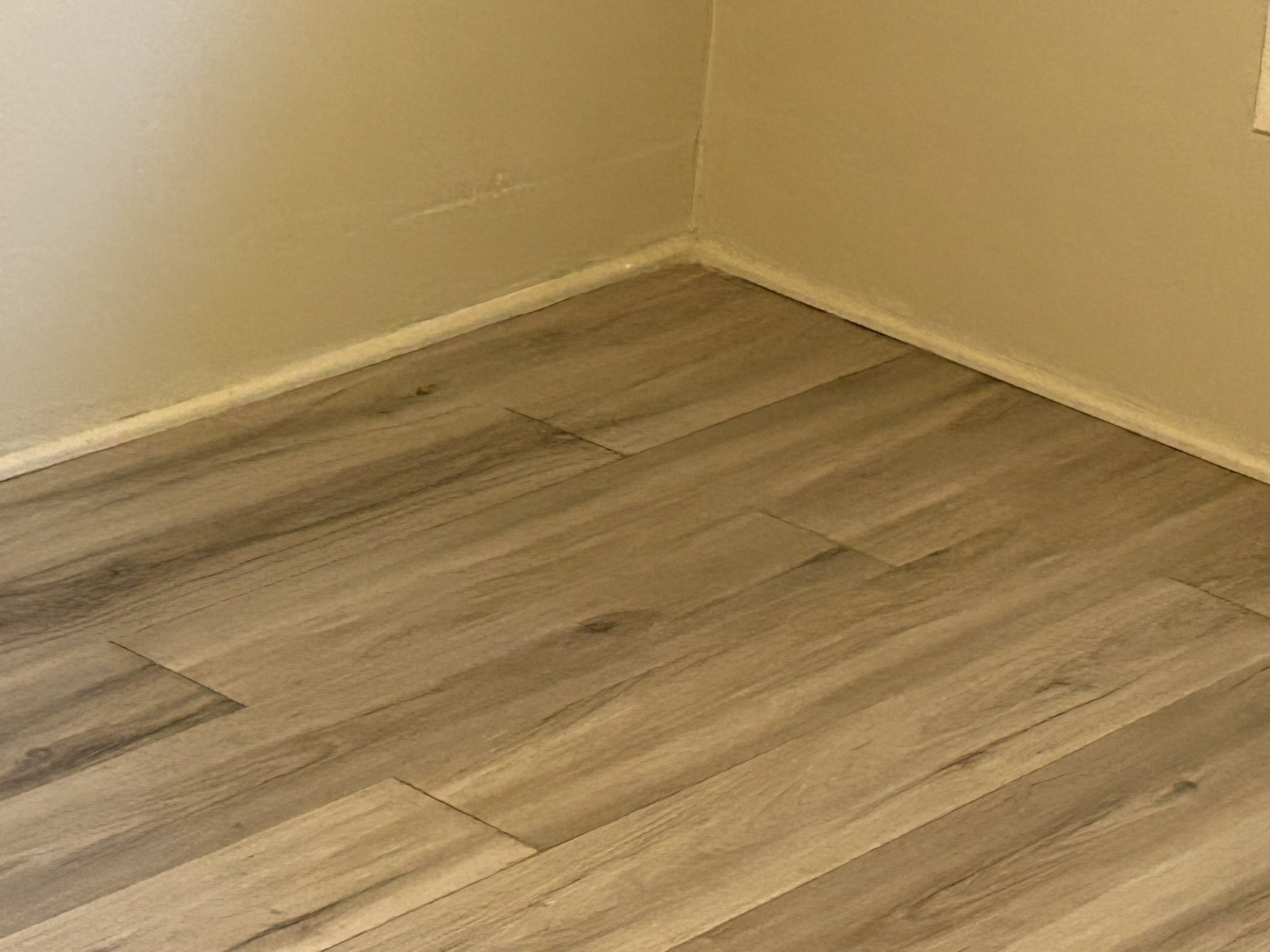 496 Campground Road Trinity, TX 75862 - Photo 13 of 21 Gallery Image 13