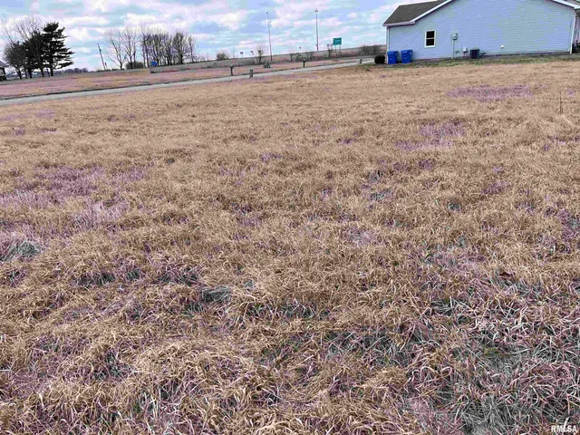 $7,500 | Blue Stem Drive, Elkhart, IL 62634