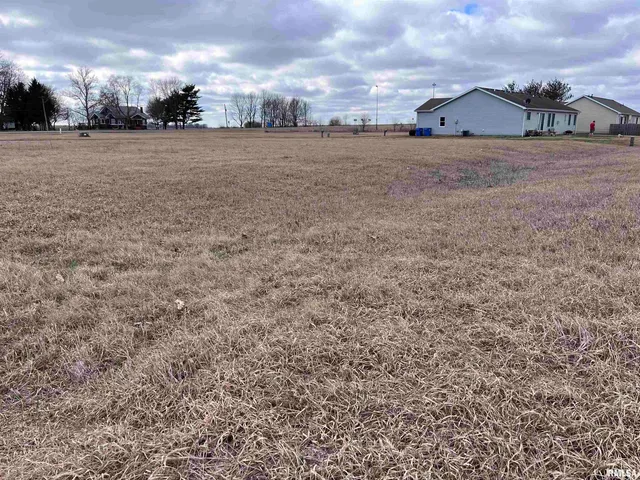 $7,500 | Blue Stem Drive, Elkhart, IL 62634