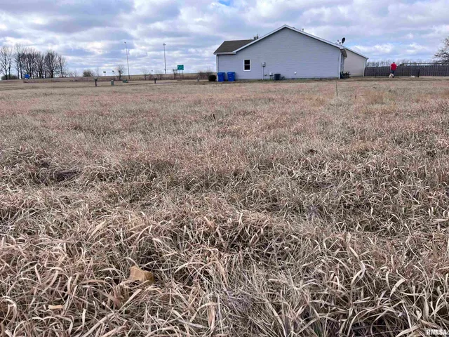 $7,500 | Blue Stem Drive, Elkhart, IL 62634