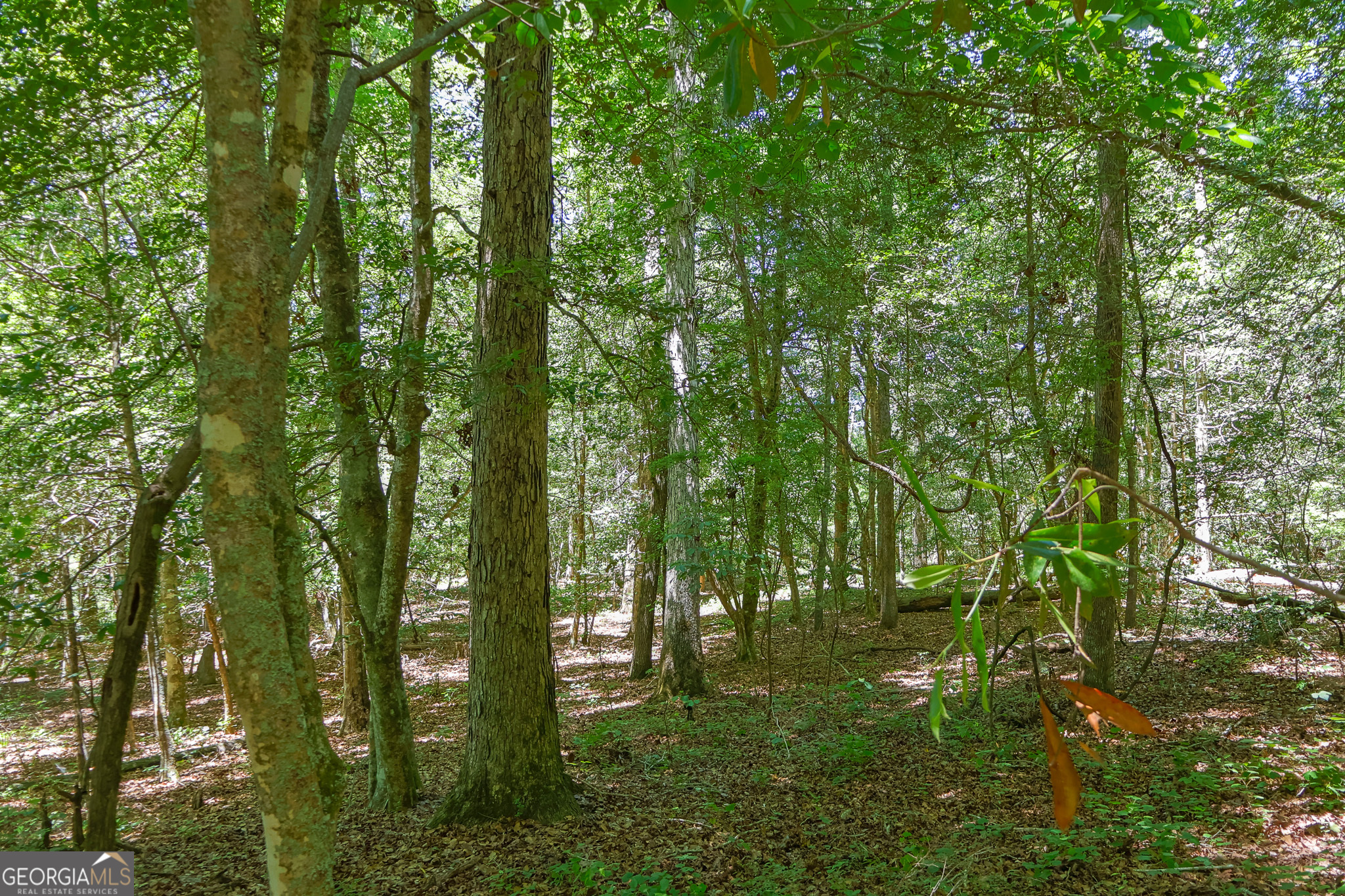 232 Crane Road Cochran, GA 31014 - Photo 10 of 20