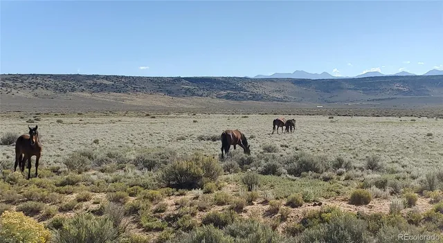 $154,000 | 154 Ac Vacant Land, San Luis, CO 81152