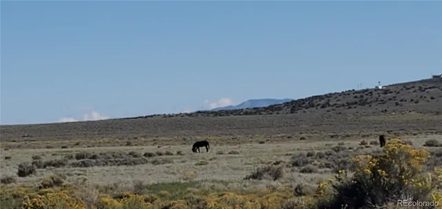 $154,000 | 154 Ac Vacant Land, San Luis, CO 81152