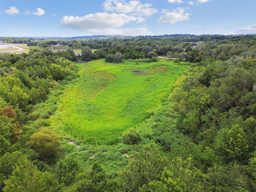 Dixie Avenue Dade City, FL 33525 - Photo 7 of 8 a view of a big yard with lots of palm trees