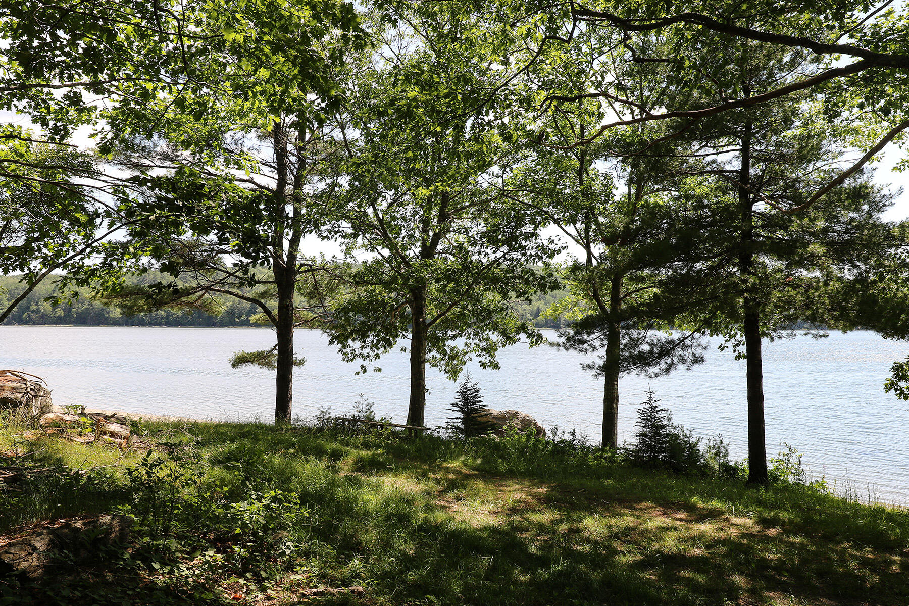 1118 A Surry Road Surry, ME 04684 - Photo 3 of 7 133A0367