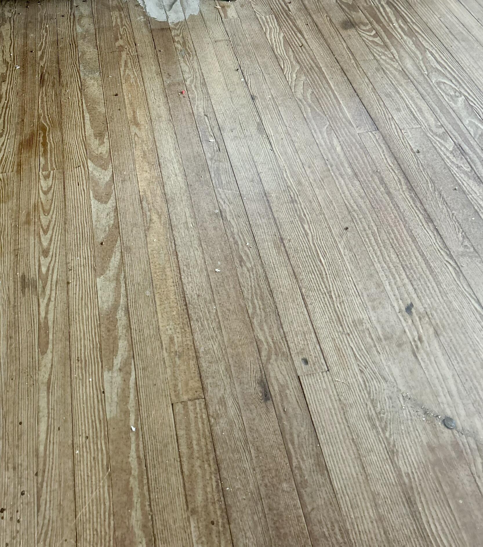 504 F R Huff Drive St. Matthews, SC 29135 - Photo 17 of 17 IMG_6611