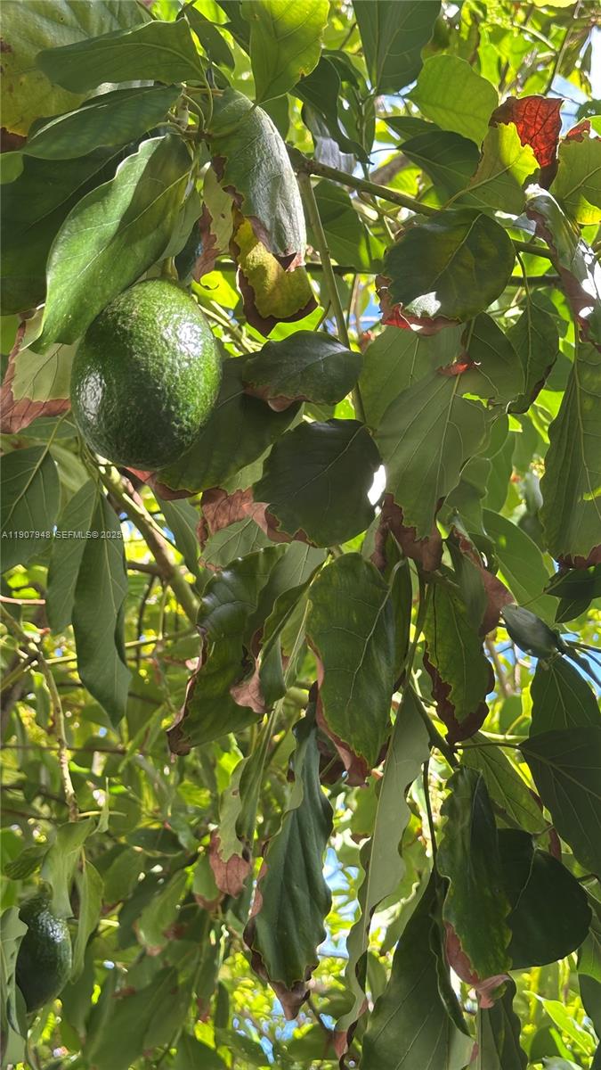 421 75th Street, Unit 3 Miami Beach, FL 33141 - Photo 14 of 21