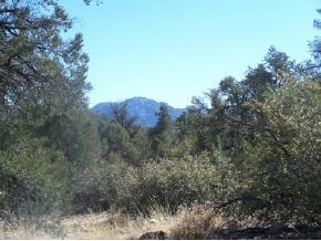 5572 West Almosta Ranch Road Prescott, AZ 86305 - Photo 3 of 3 Additional Photo