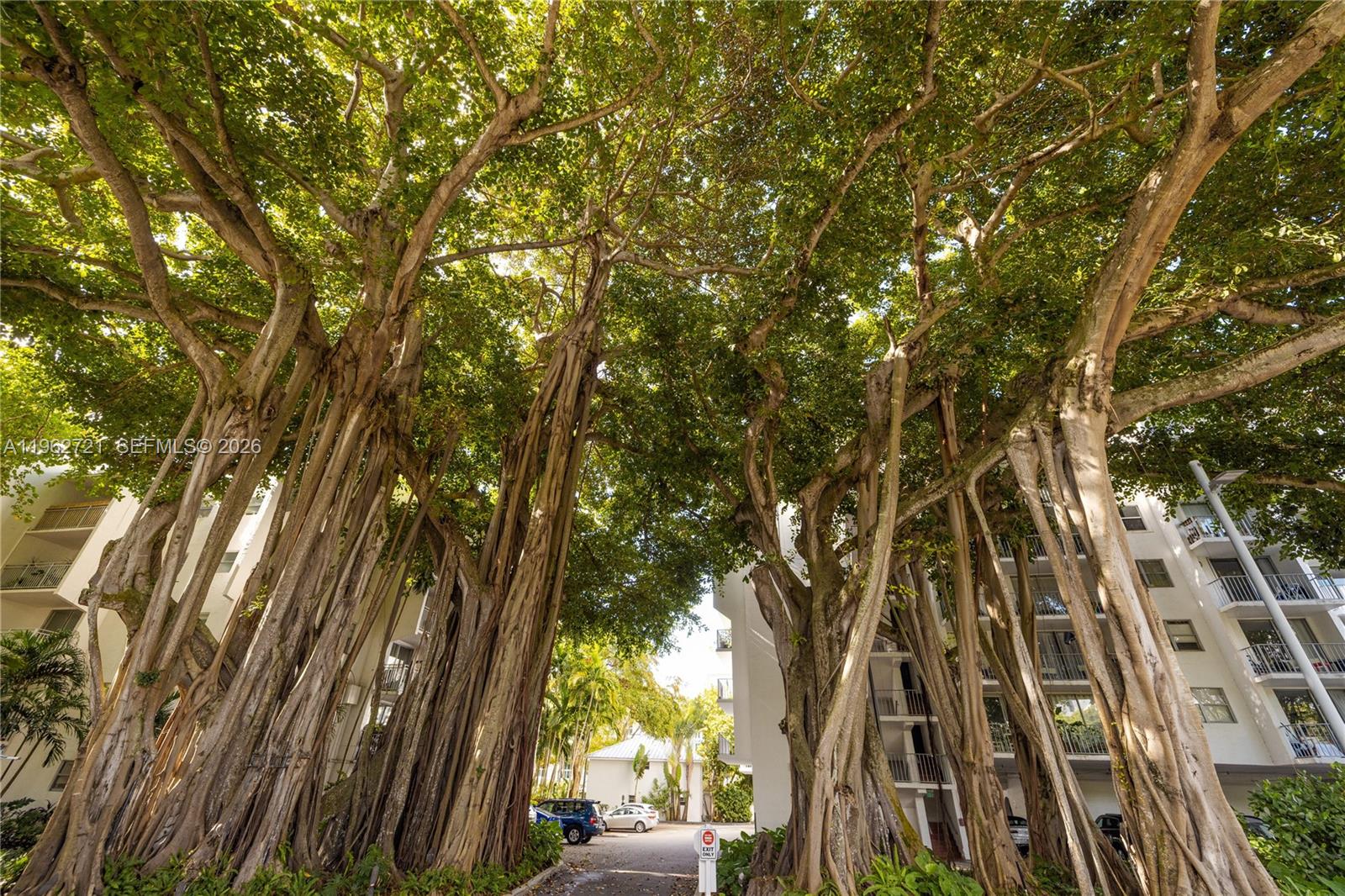 680 Northeast 64th Street, Unit APH3 Miami, FL 33138 - Photo 77 of 77 a view of outdoor space and street view