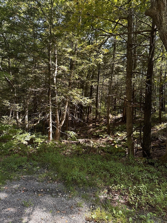 0 Main Road Westfield, MA 01085 - Photo 3 of 6