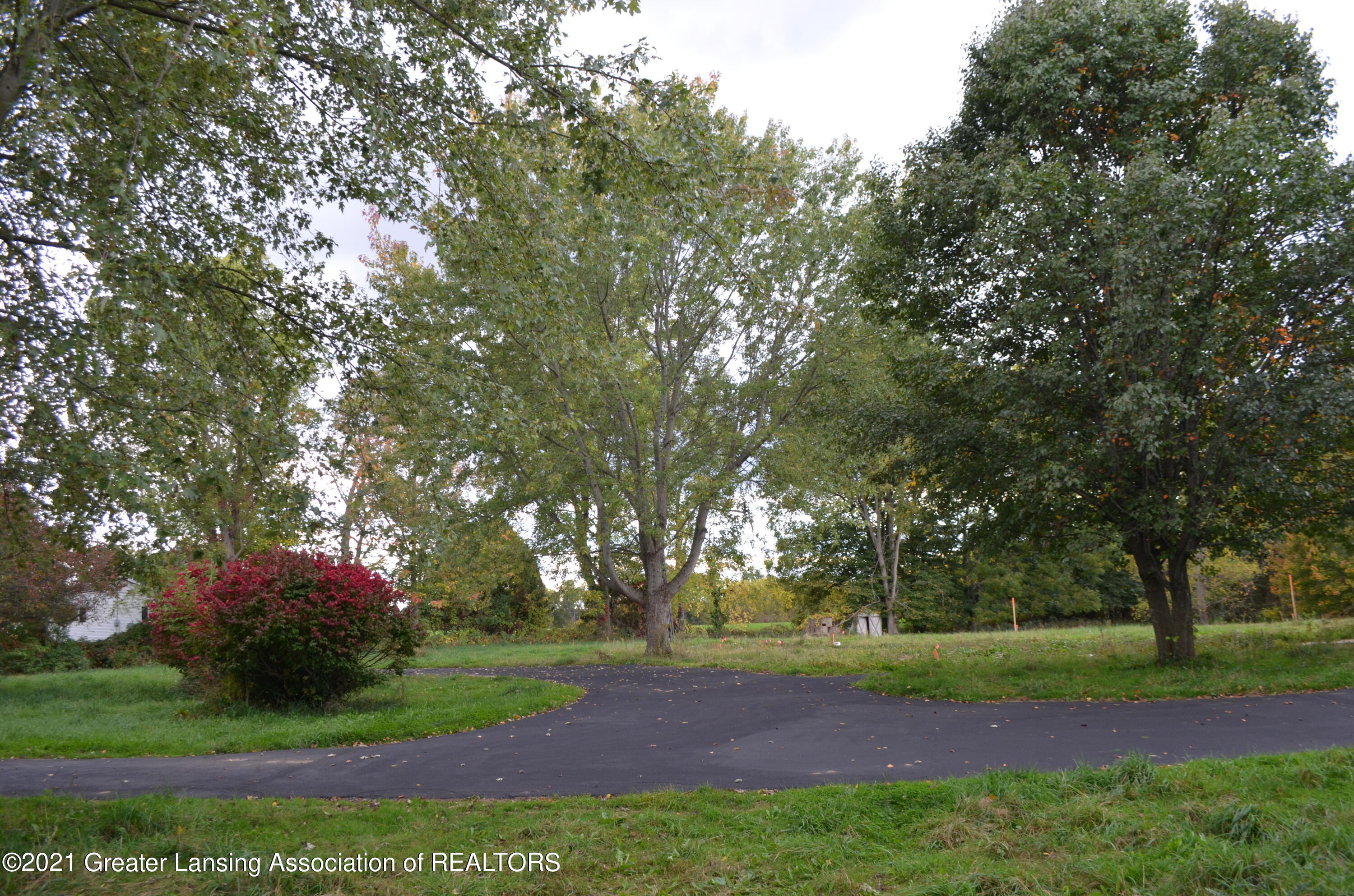 4676 Williamston Road Stockbridge, MI 49285 - Photo 5 of 19 Trees