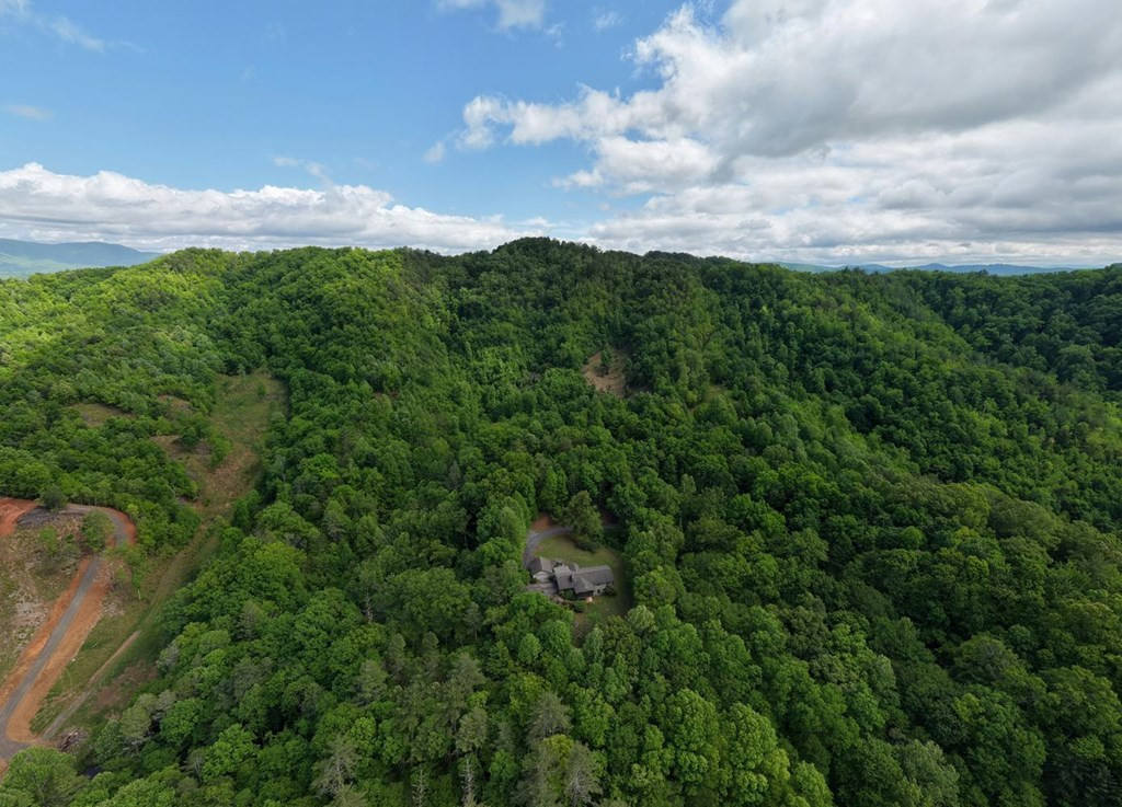 847 Deer Hill Road Murphy, NC 28906 - Photo 53 of 54