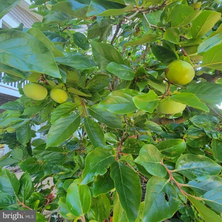 $949,000 | 1469 Cowart Road, Lottsburg, VA 22511