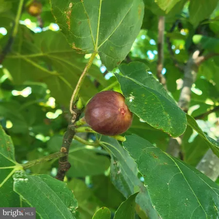 $949,000 | 1469 Cowart Road, Lottsburg, VA 22511