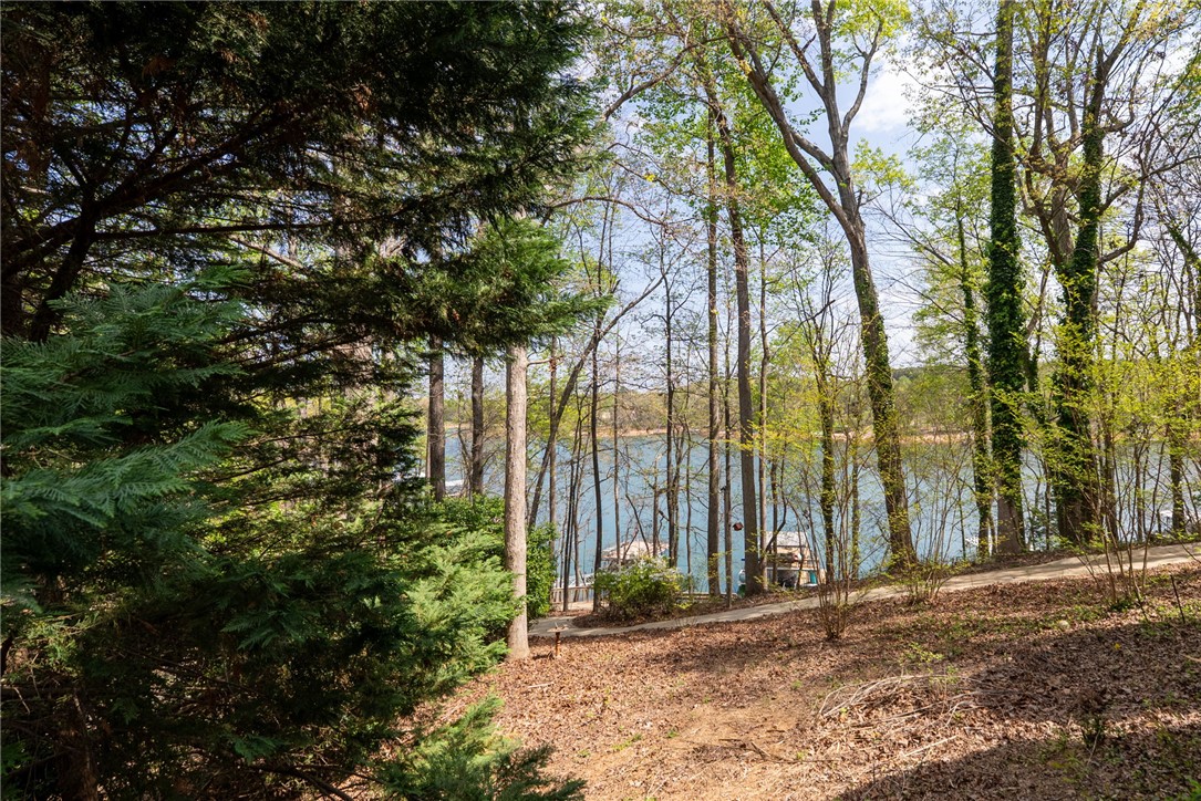 1002 Whitfield Point Road Anderson, SC 29626 - Photo 12 of 49 This serene landscape features verdant trees framing a tranquil body of water.