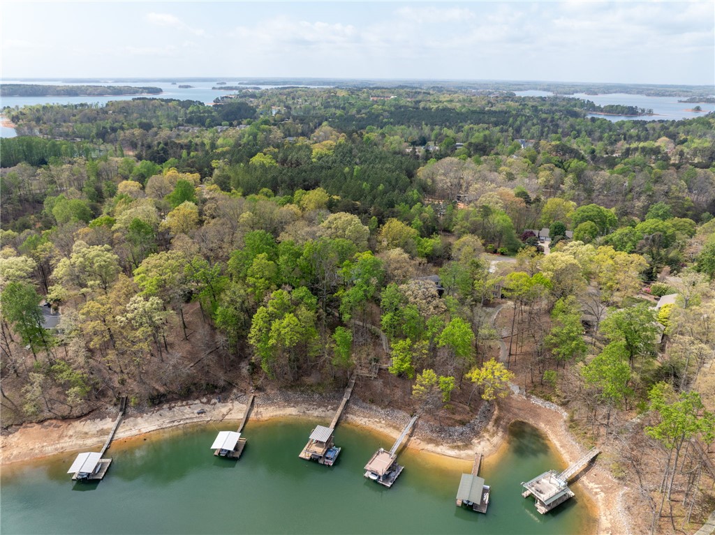 1002 Whitfield Point Road Anderson, SC 29626 - Photo 3 of 49 This elevated view captures the tranquil waterfront and expansive natural surroundings.