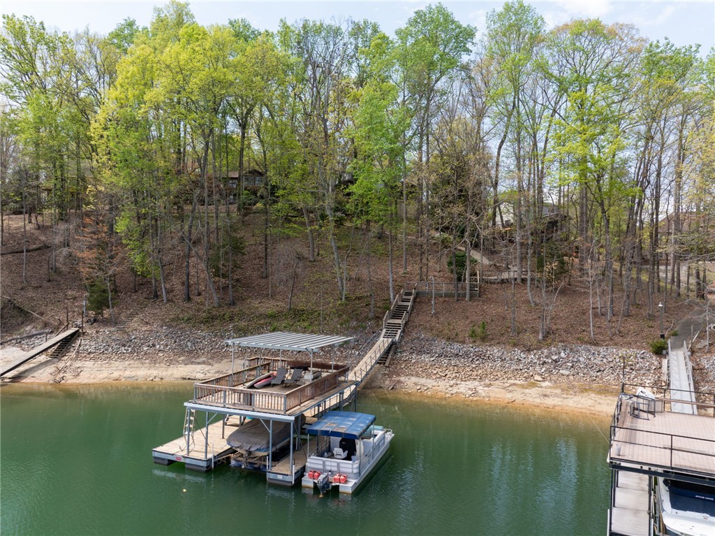 1002 Whitfield Point Road Anderson, SC 29626 - Photo 4 of 49 This serene lakefront property offers private dock access and an expansive view of lush greenery.