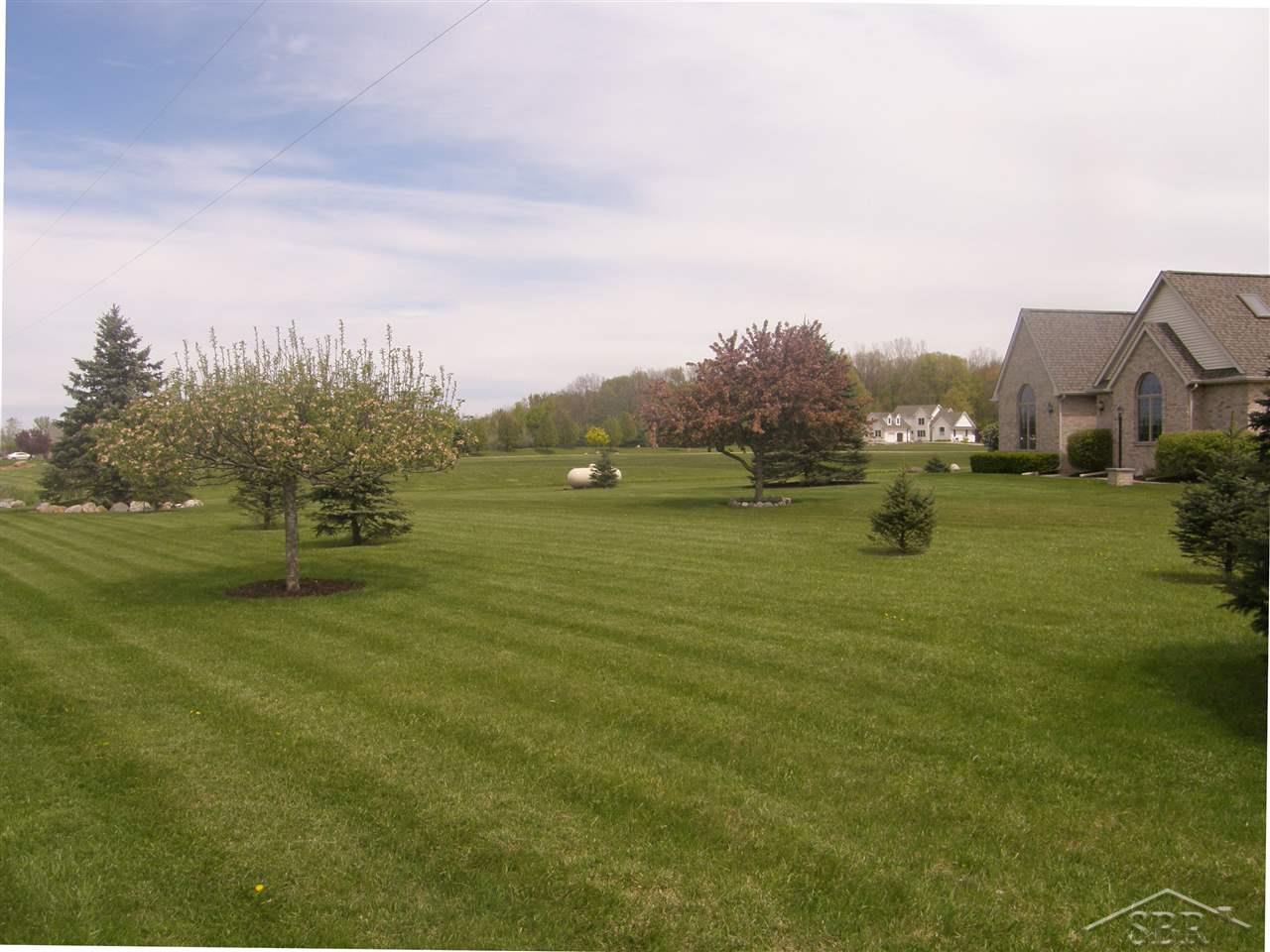15225 Frandsche Road Chesaning, MI 48616 - Photo 6 of 29 31312724-5.JPG