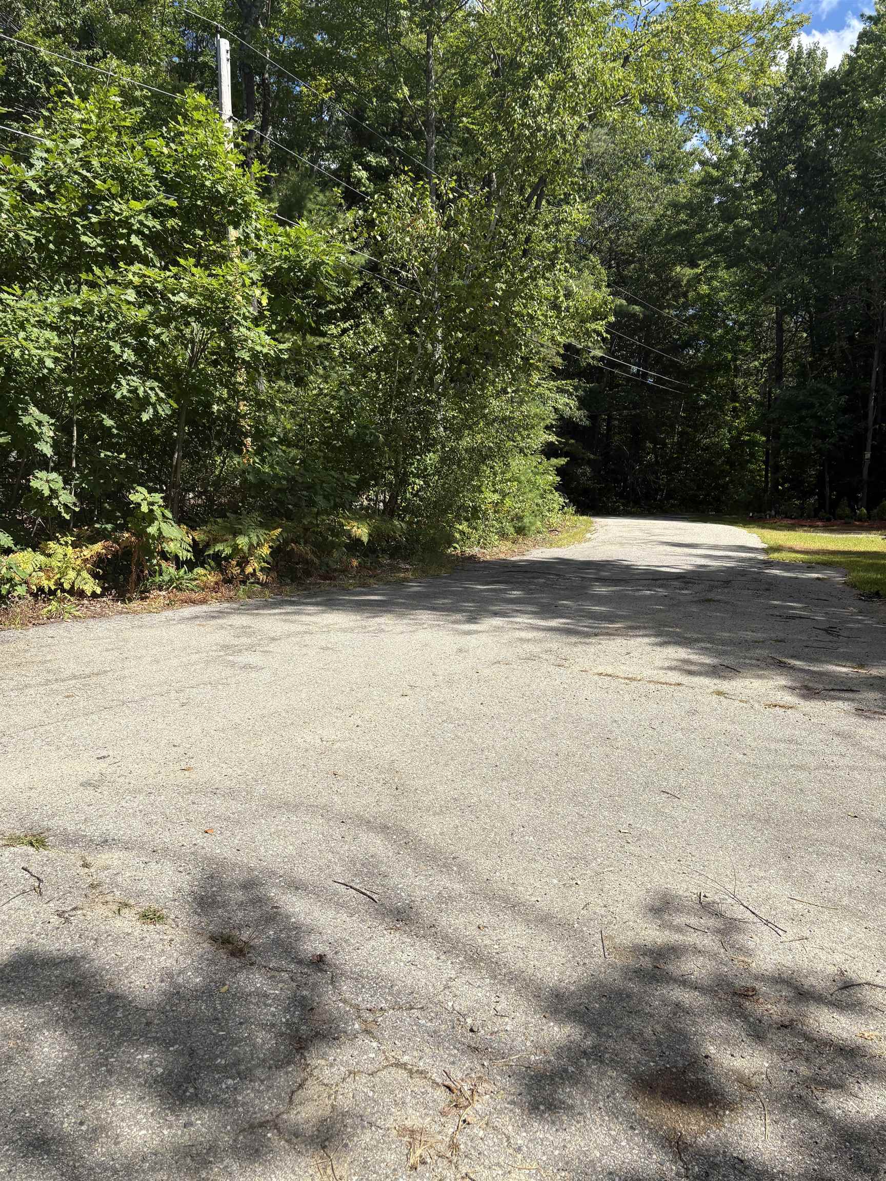 19 Easy Avenue Albany, NH 03818 - Photo 15 of 15