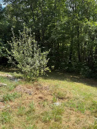 $169,900 | 19 Easy Avenue, Albany, NH 03818