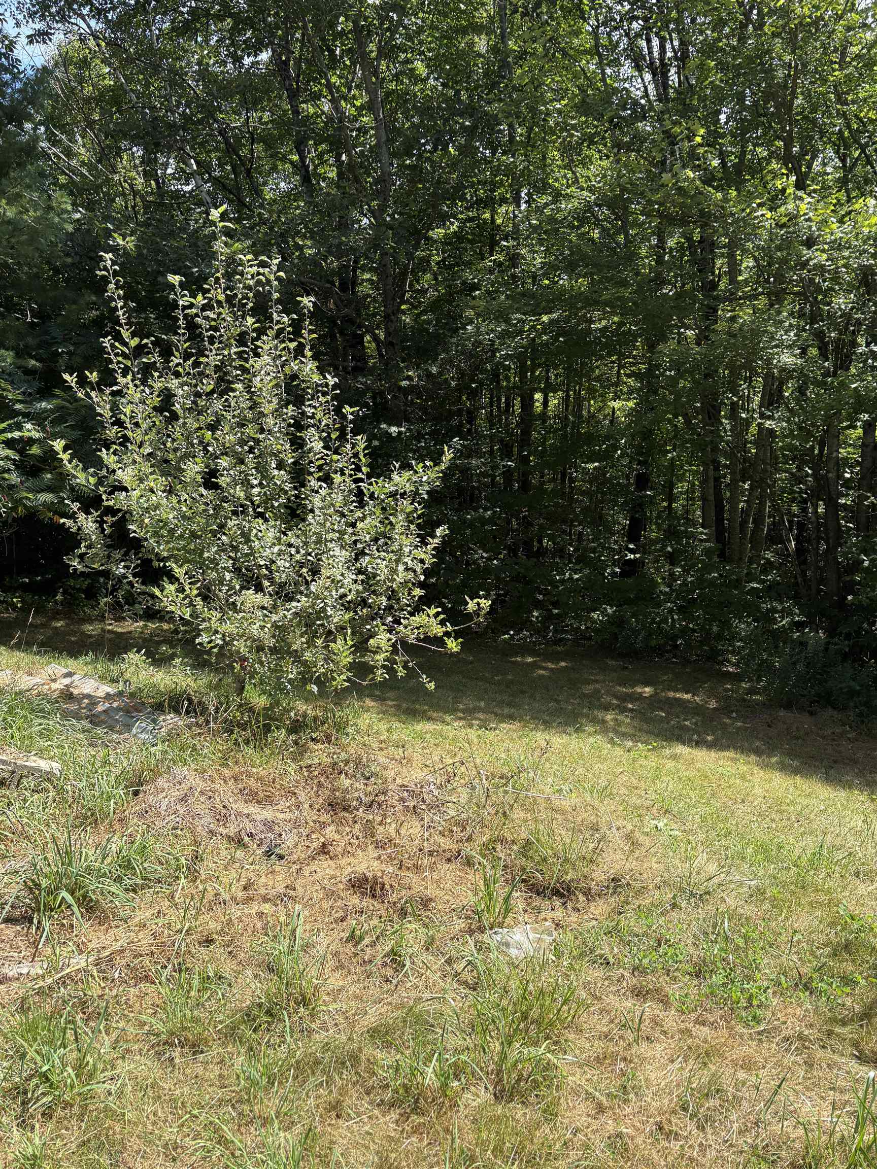 19 Easy Avenue Albany, NH 03818 - Photo 6 of 15