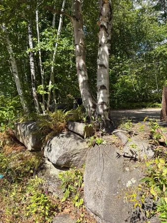 $169,900 | 19 Easy Avenue, Albany, NH 03818