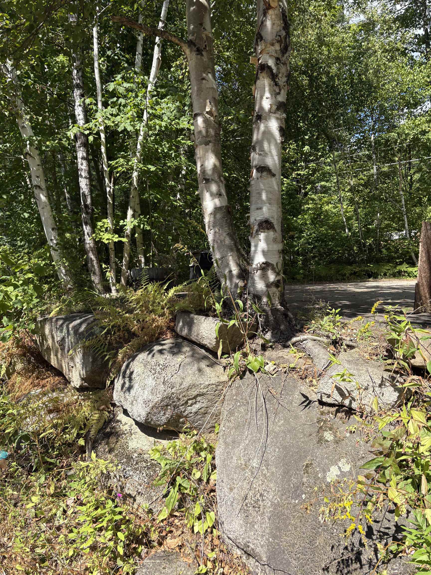 19 Easy Avenue Albany, NH 03818 - Photo 7 of 15