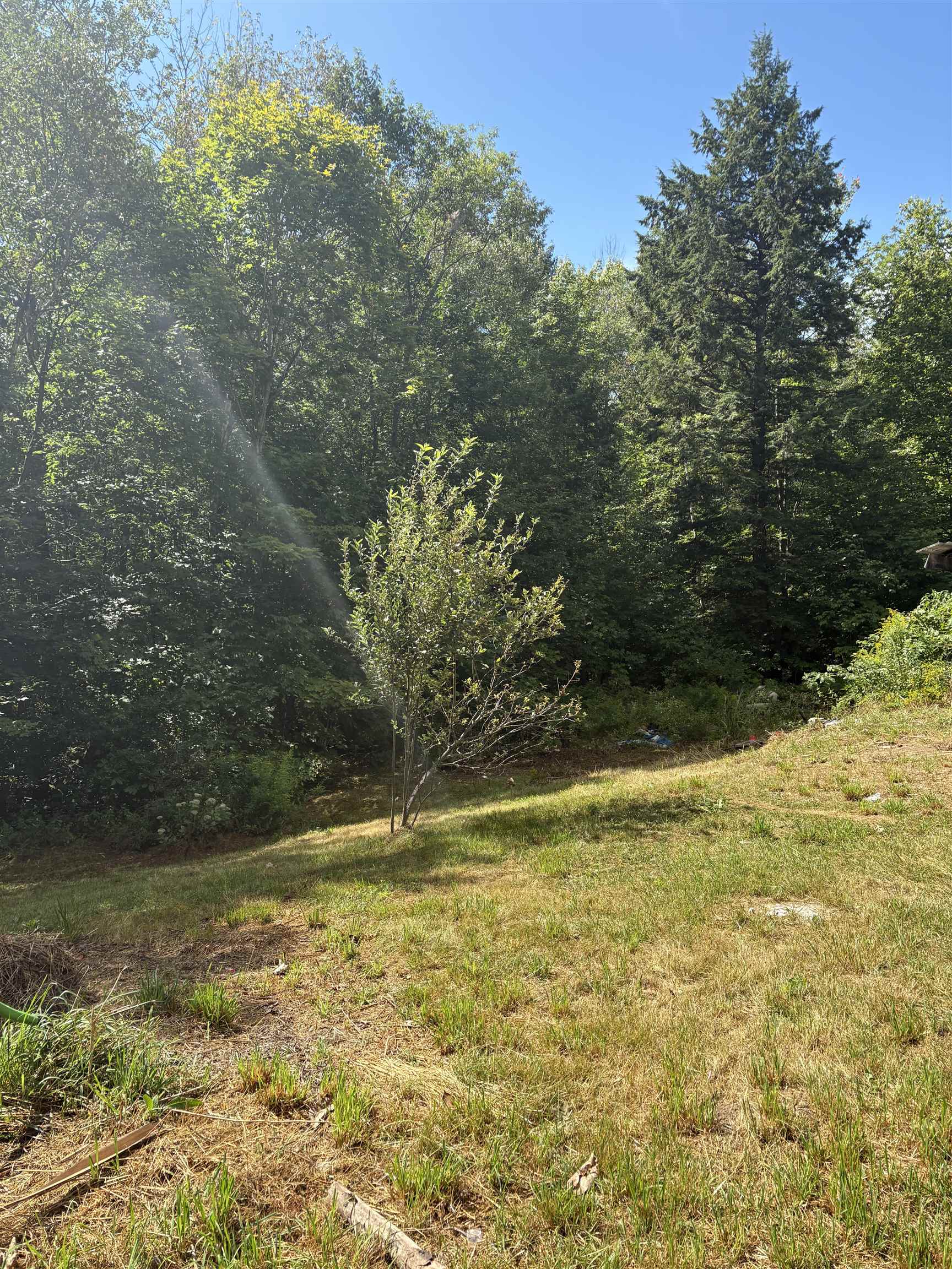 19 Easy Avenue Albany, NH 03818 - Photo 8 of 15