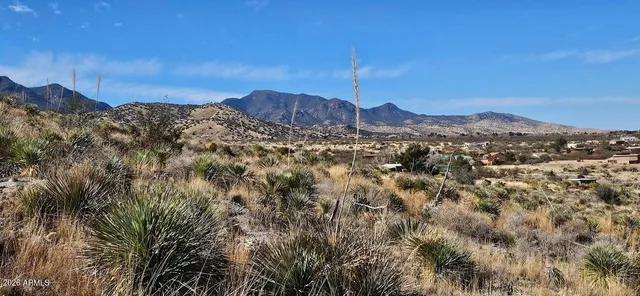 a view of a yard with a mountain