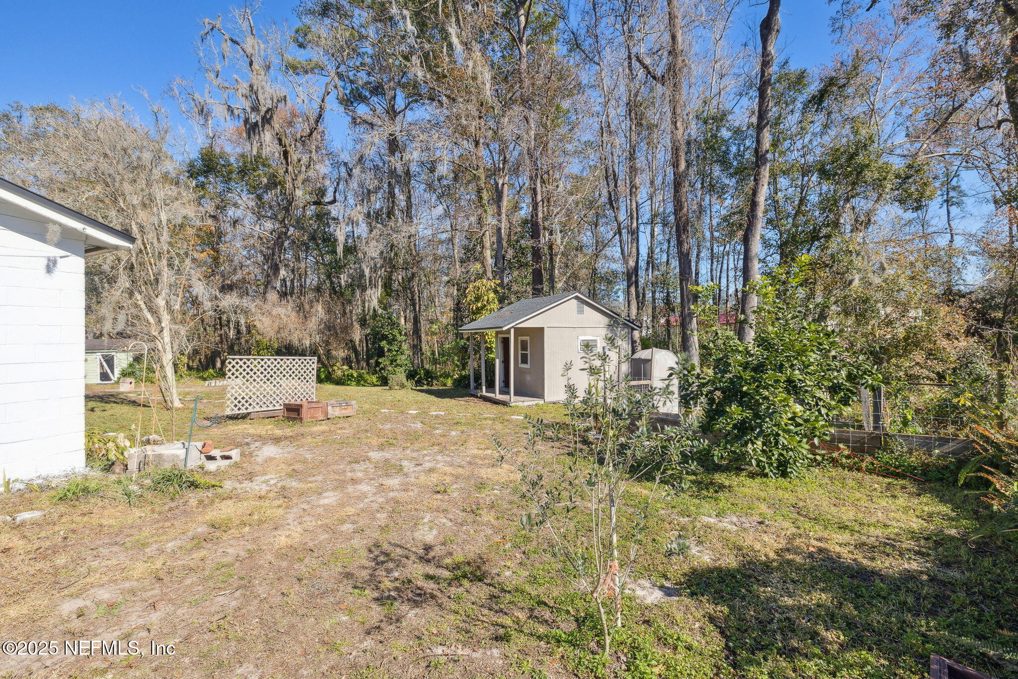 2613 Clara Road Jacksonville, FL 32216 - Photo 36 of 49 36-Backyard View 1