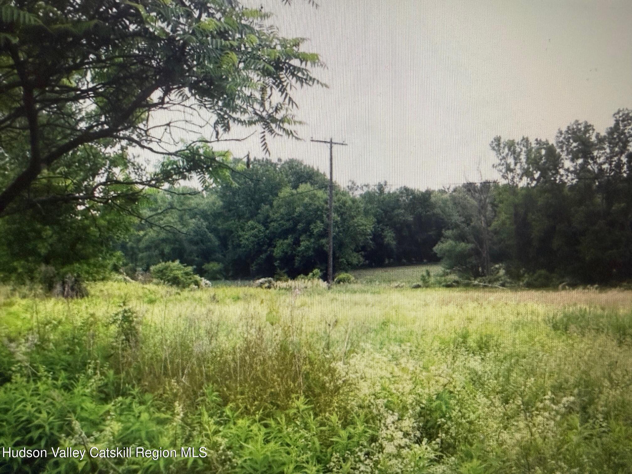 0 Spook Rock Road Hudson, NY 12534 - Photo 3 of 20 a view of a yard with a tree