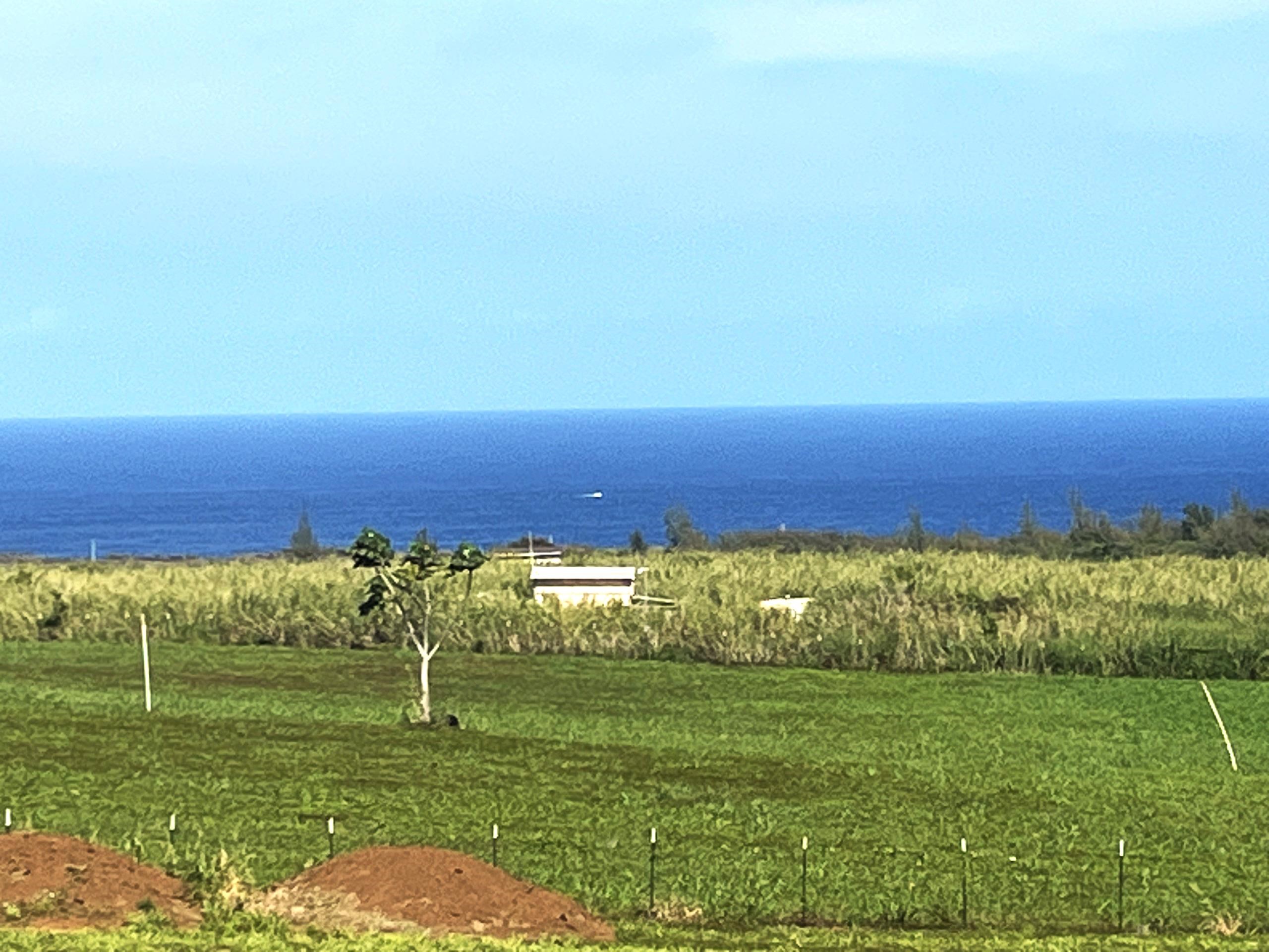 2865 Hana Highway, Unit CPR A Haiku, HI 96708 - Photo 3 of 15 a view of a yard with an ocean